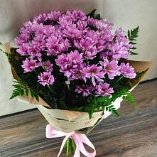 Букет цветов из:  Хризантемы #REPLACE_PRED# Митькино